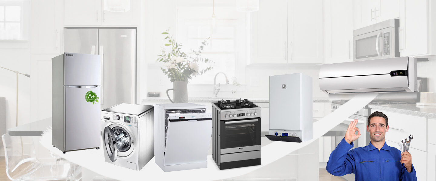 Çandarlı Daikin Servisi